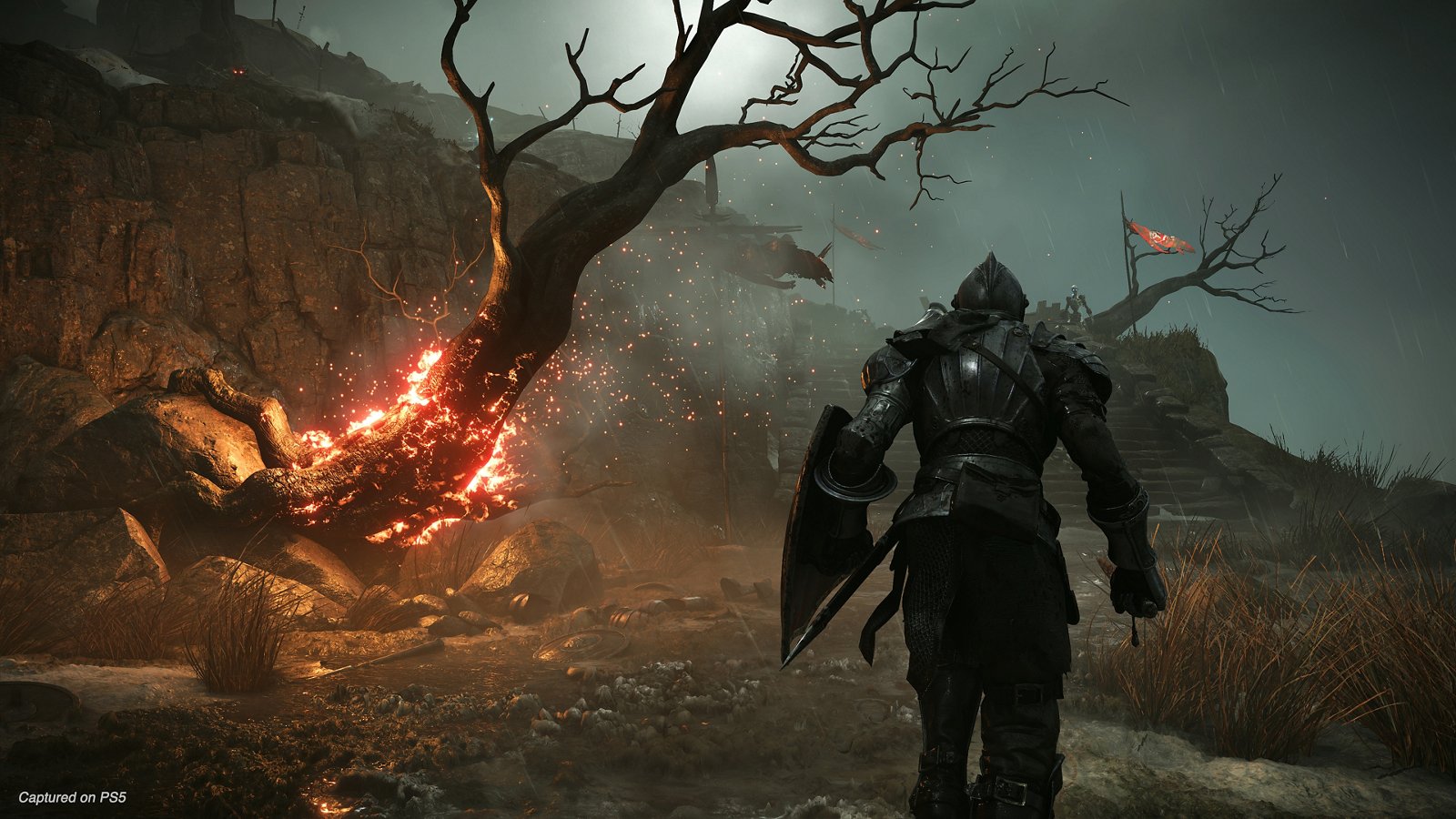 POV: You bought Playstation Plus to play Bloodborne on PC 